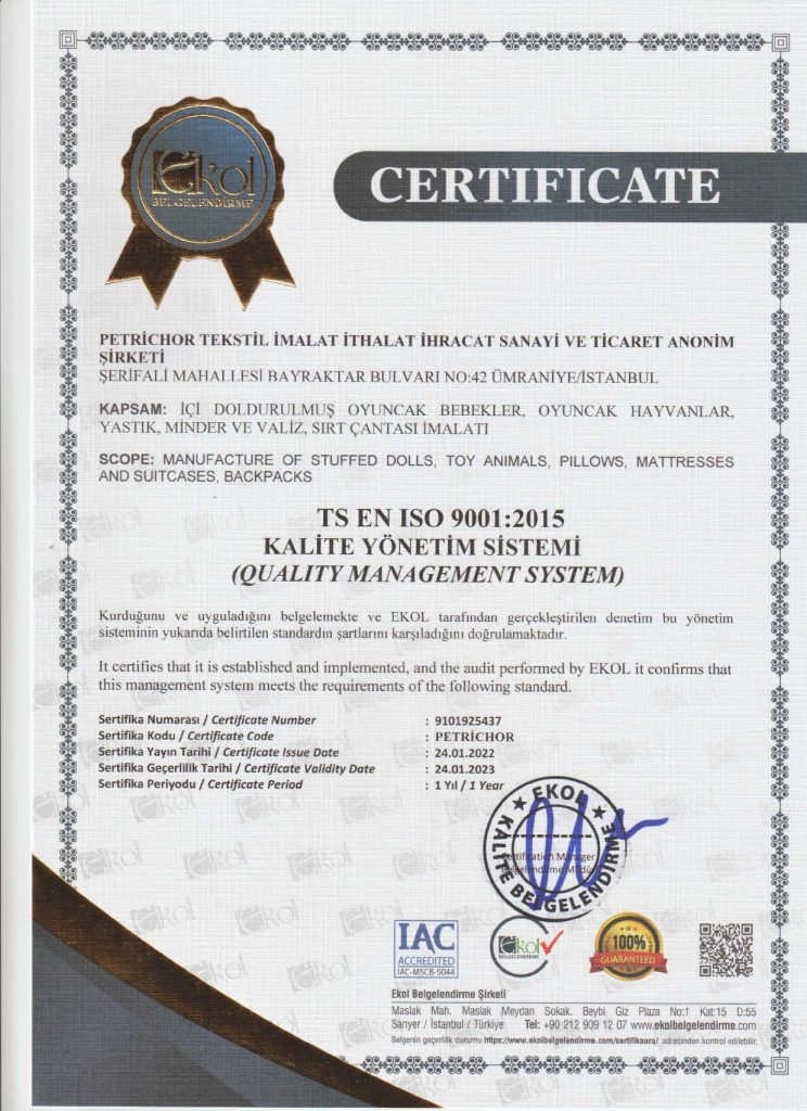 iso9001